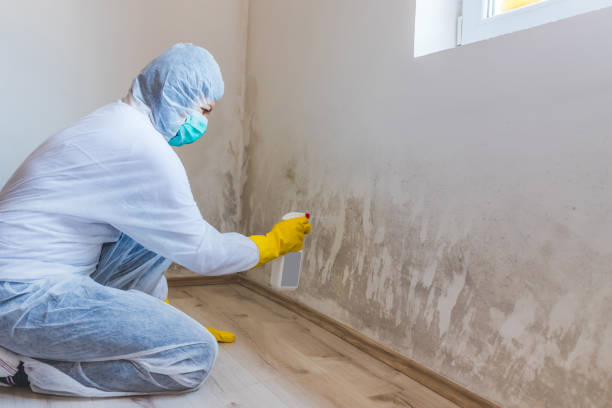 Mold Remediation specialist working in Buckingham