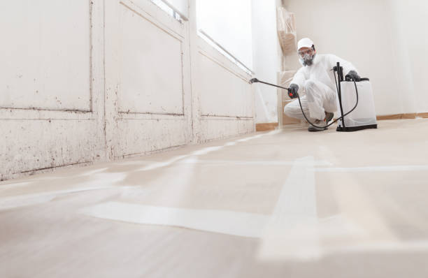Black mold remediation team in Buckingham